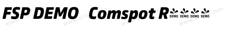 FSP DEMO   Comspot R字体转换